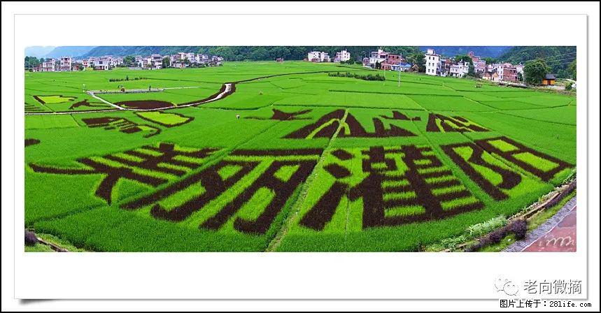 【春天，广西桂林灌阳县向您发出邀请！】开篇 - 游山玩水 - 巢湖生活社区 - 巢湖28生活网 ch.28life.com