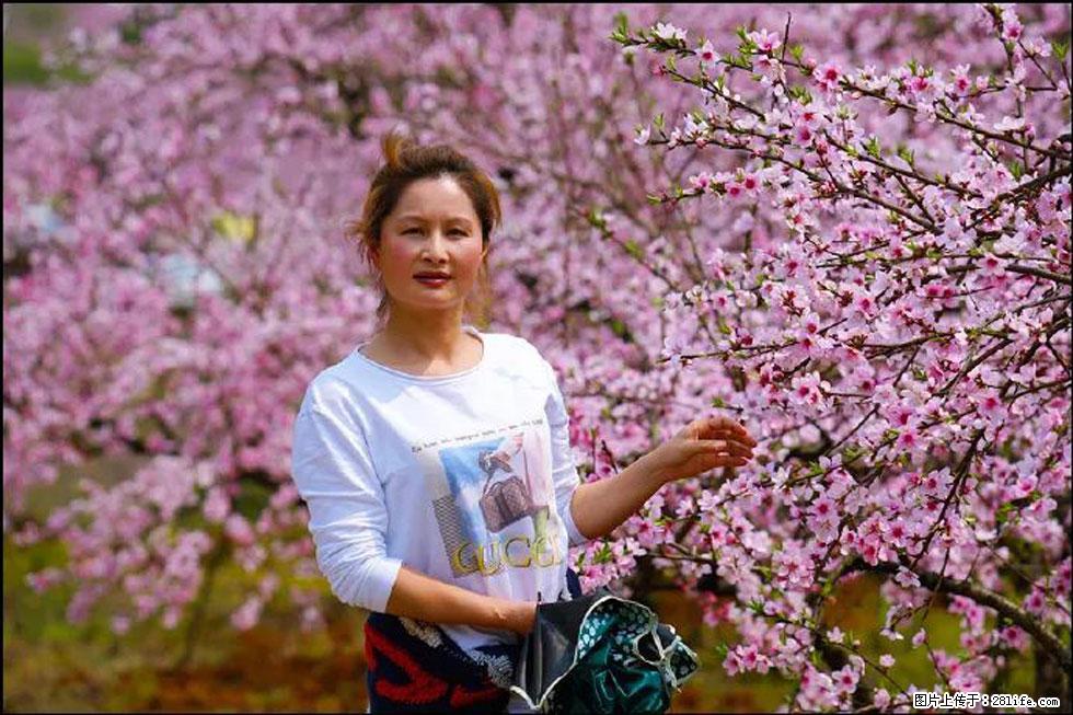 【春天,广西桂林灌阳县向您发出邀请!】官庄村有个醉美的桃花园 - 游山玩水 - 巢湖生活社区 - 巢湖28生活网 ch.28life.com