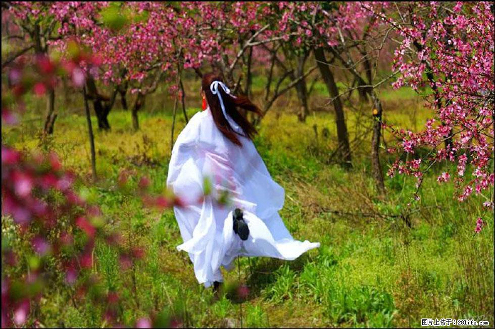 【春天,广西桂林灌阳县向您发出邀请!】官庄村有个醉美的桃花园 - 游山玩水 - 巢湖生活社区 - 巢湖28生活网 ch.28life.com