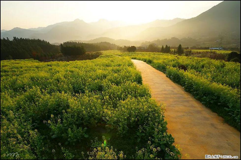 【春天,广西桂林灌阳县向您发出邀请!】长坪村油菜盛情花开 - 游山玩水 - 巢湖生活社区 - 巢湖28生活网 ch.28life.com