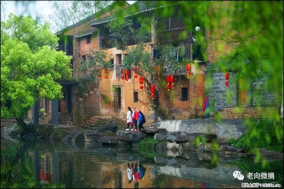 【春天,广西桂林灌阳县向您发出邀请!】江口老街又逢春 - 游山玩水 - 巢湖生活社区 - 巢湖28生活网 ch.28life.com