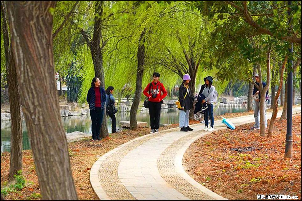 【春天,广西桂林灌阳县向您发出邀请!】江口老街又逢春 - 游山玩水 - 巢湖生活社区 - 巢湖28生活网 ch.28life.com