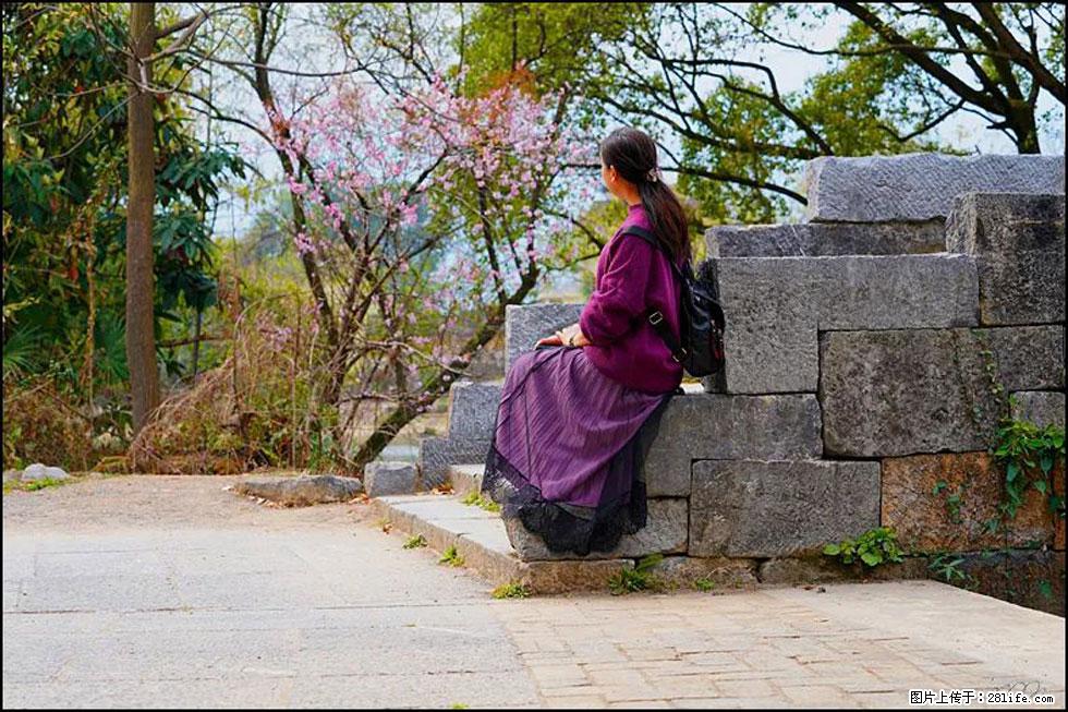 【春天,广西桂林灌阳县向您发出邀请!】江口老街又逢春 - 游山玩水 - 巢湖生活社区 - 巢湖28生活网 ch.28life.com