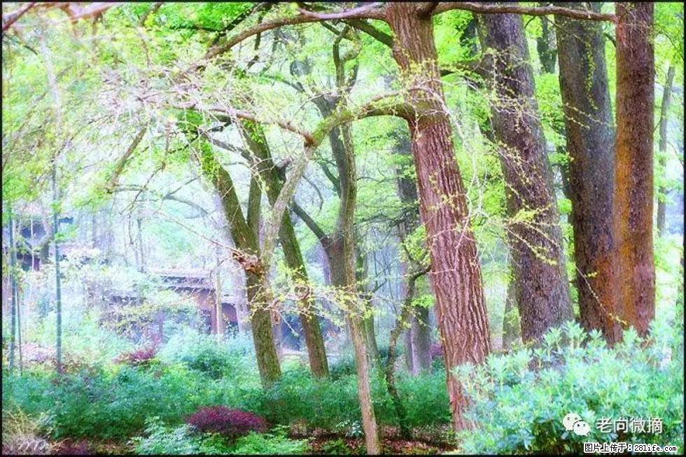 【春天，广西桂林灌阳县向您发出邀请！】在小龙村与春天约会 - 游山玩水 - 巢湖生活社区 - 巢湖28生活网 ch.28life.com