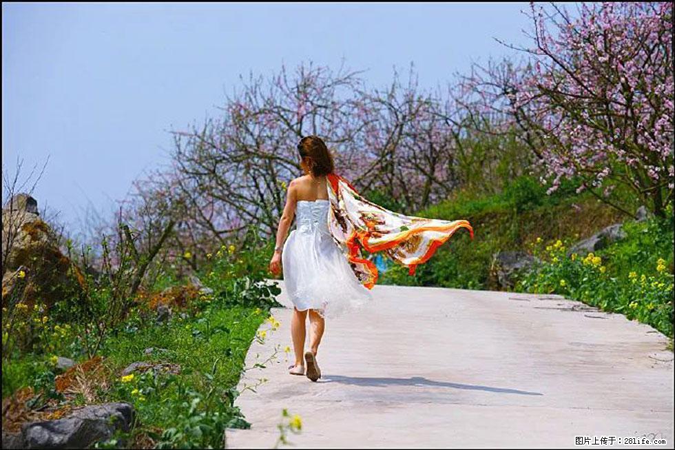 【春天，广西桂林灌阳县向您发出邀请！】望月岭上桃花开 - 游山玩水 - 巢湖生活社区 - 巢湖28生活网 ch.28life.com