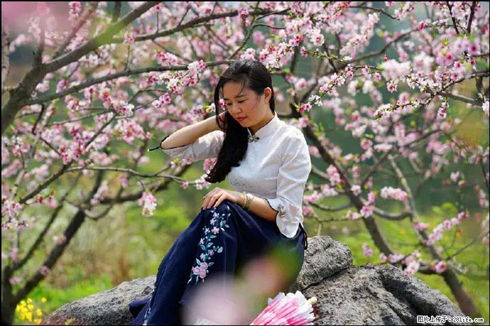 【春天，广西桂林灌阳县向您发出邀请！】望月岭上桃花开 - 游山玩水 - 巢湖生活社区 - 巢湖28生活网 ch.28life.com