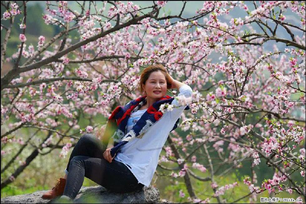 【春天，广西桂林灌阳县向您发出邀请！】望月岭上桃花开 - 游山玩水 - 巢湖生活社区 - 巢湖28生活网 ch.28life.com