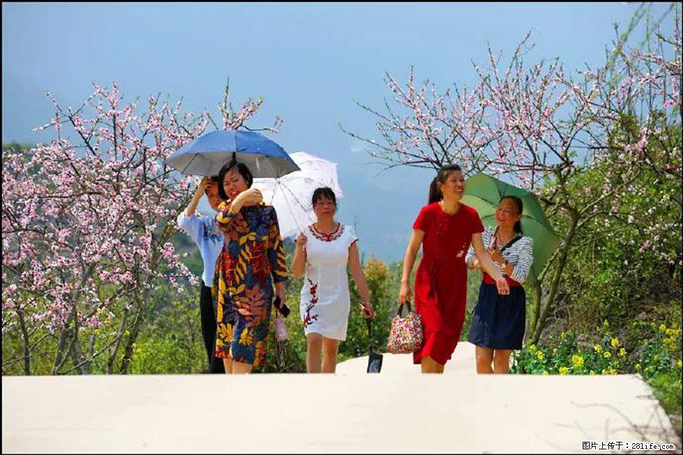 【春天，广西桂林灌阳县向您发出邀请！】望月岭上桃花开 - 游山玩水 - 巢湖生活社区 - 巢湖28生活网 ch.28life.com