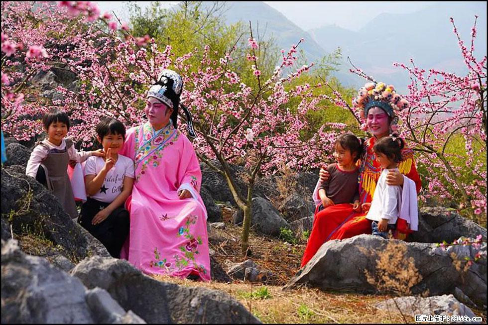 【春天，广西桂林灌阳县向您发出邀请！】望月岭上桃花开 - 游山玩水 - 巢湖生活社区 - 巢湖28生活网 ch.28life.com