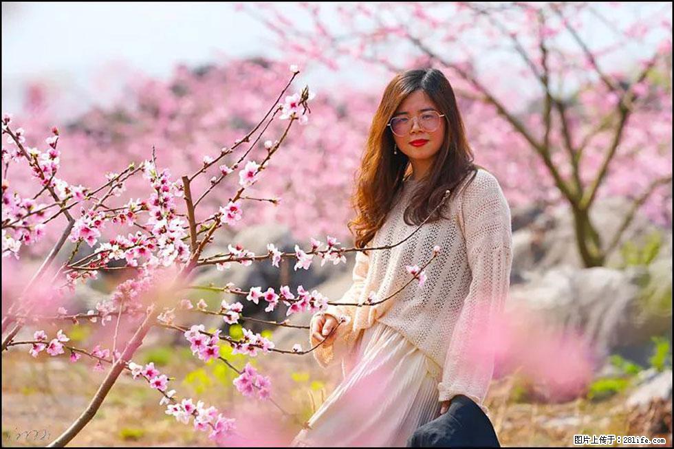 【春天，广西桂林灌阳县向您发出邀请！】望月岭上桃花开 - 游山玩水 - 巢湖生活社区 - 巢湖28生活网 ch.28life.com