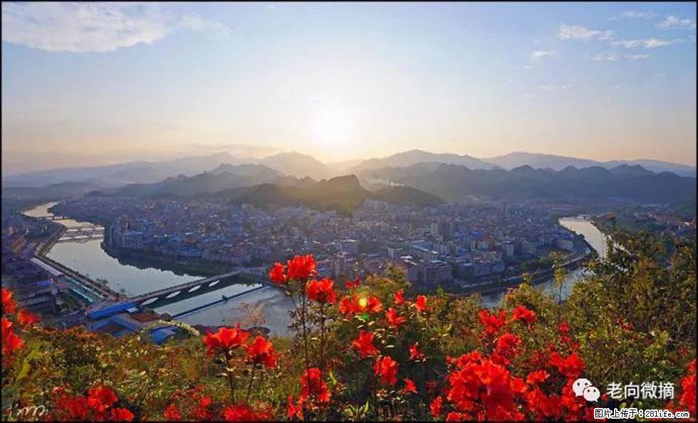 【春天，广西桂林灌阳县向您发出邀请！】登麒麟山，相约映山红 - 游山玩水 - 巢湖生活社区 - 巢湖28生活网 ch.28life.com