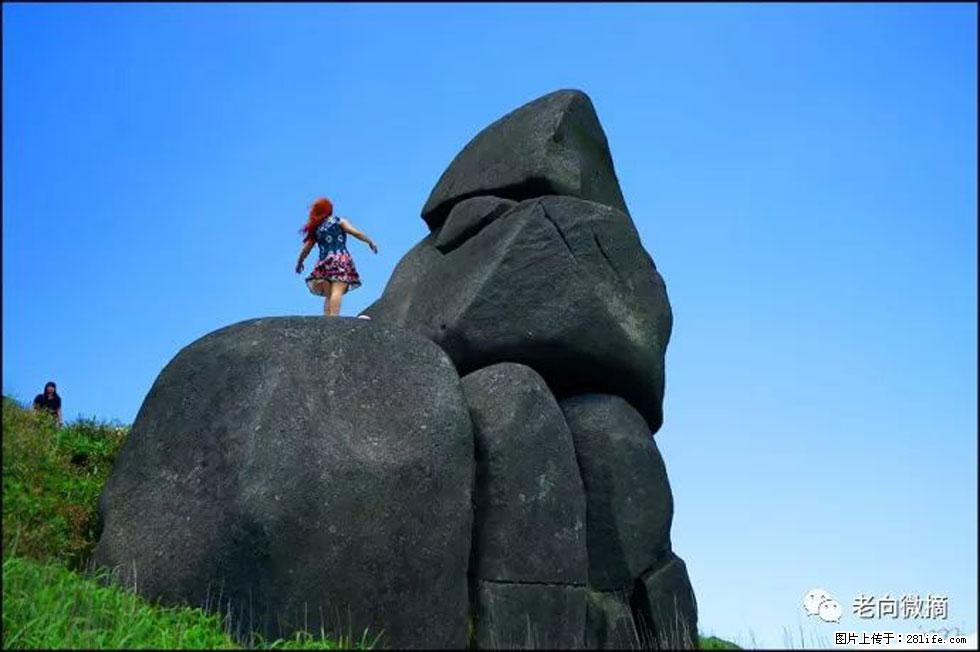 【春天，广西桂林灌阳县向您发出邀请！】宝盖山上映山红 - 游山玩水 - 巢湖生活社区 - 巢湖28生活网 ch.28life.com