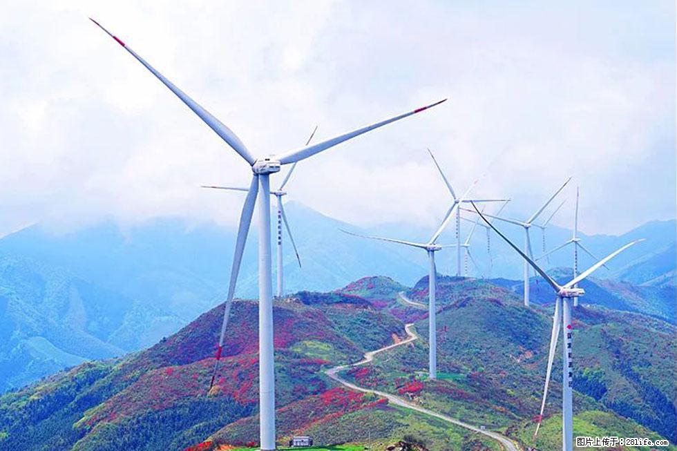 【春天，广西桂林灌阳县向您发出邀请！】春木界上映山红 - 游山玩水 - 巢湖生活社区 - 巢湖28生活网 ch.28life.com