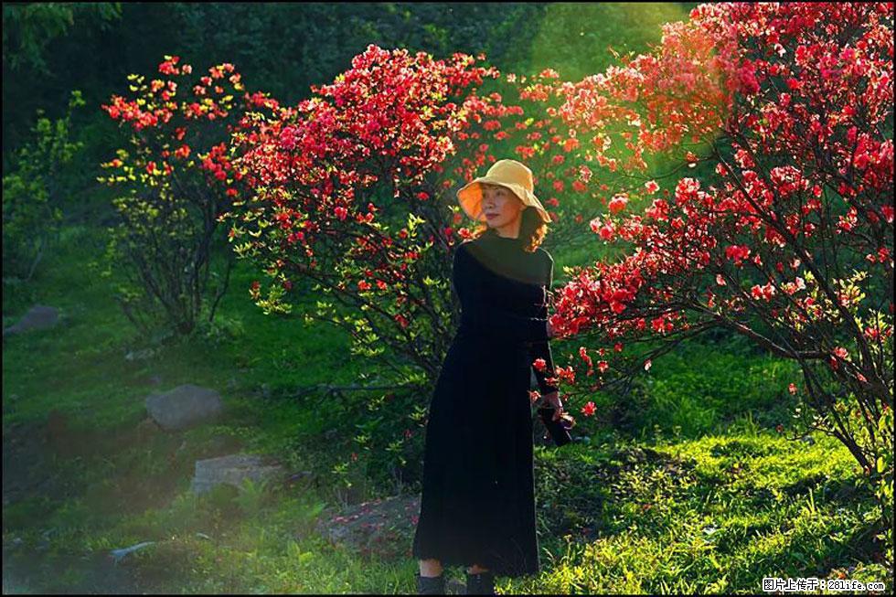 【春天，广西桂林灌阳县向您发出邀请！】春木界上映山红 - 游山玩水 - 巢湖生活社区 - 巢湖28生活网 ch.28life.com