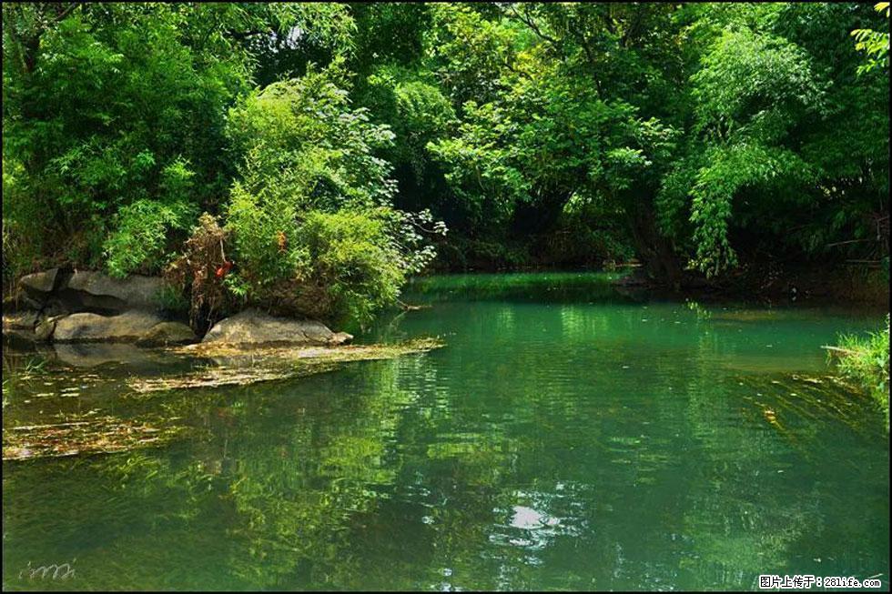 【春天,广西桂林灌阳县向您发出邀请!】如梦似幻莲溪庐 - 游山玩水 - 巢湖生活社区 - 巢湖28生活网 ch.28life.com