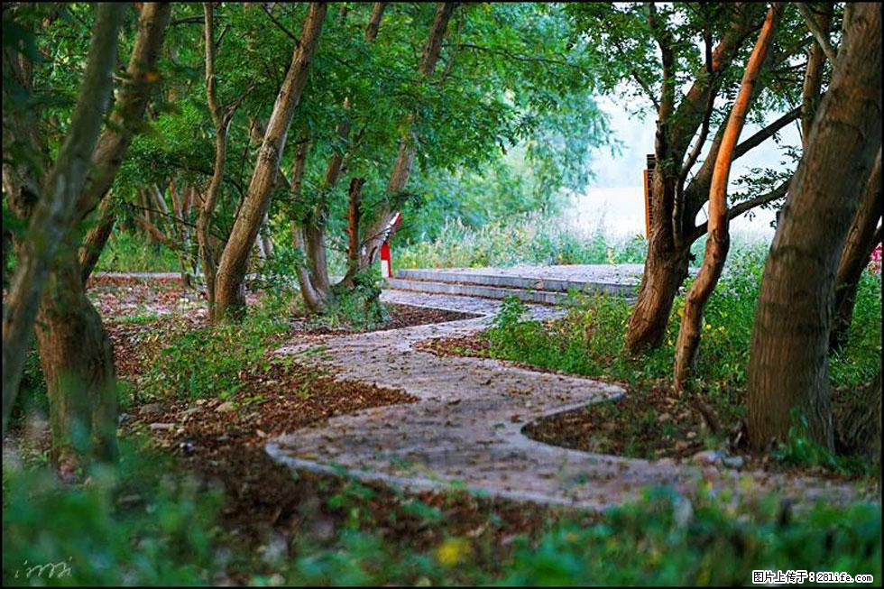 【春天,广西桂林灌阳县向您发出邀请!】熊家寨湿地公园 - 游山玩水 - 巢湖生活社区 - 巢湖28生活网 ch.28life.com