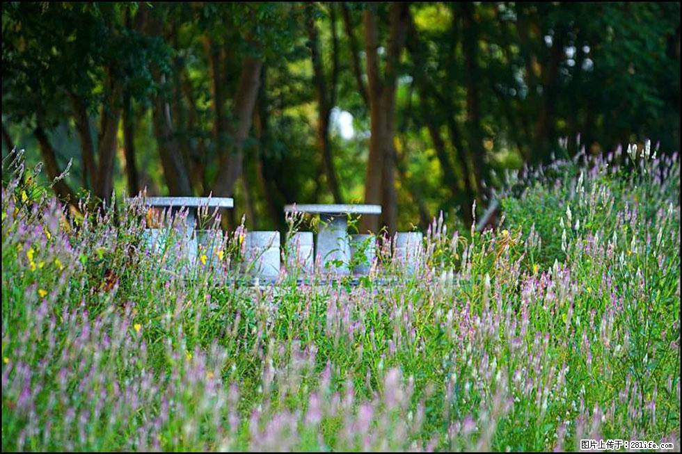 【春天,广西桂林灌阳县向您发出邀请!】熊家寨湿地公园 - 游山玩水 - 巢湖生活社区 - 巢湖28生活网 ch.28life.com