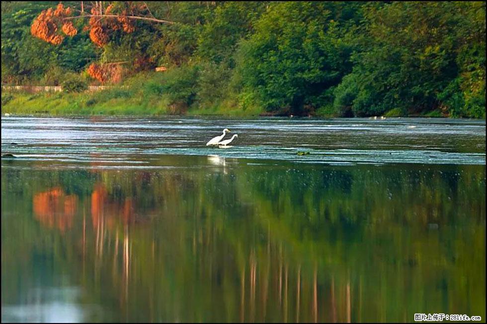 【春天,广西桂林灌阳县向您发出邀请!】熊家寨湿地公园 - 游山玩水 - 巢湖生活社区 - 巢湖28生活网 ch.28life.com