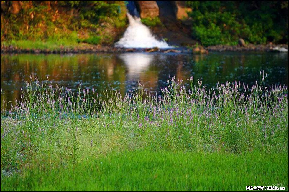 【春天,广西桂林灌阳县向您发出邀请!】熊家寨湿地公园 - 游山玩水 - 巢湖生活社区 - 巢湖28生活网 ch.28life.com