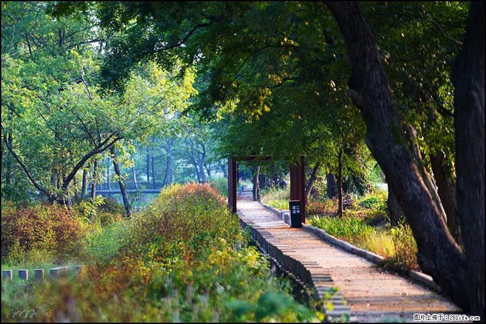 【春天,广西桂林灌阳县向您发出邀请!】熊家寨湿地公园 - 游山玩水 - 巢湖生活社区 - 巢湖28生活网 ch.28life.com