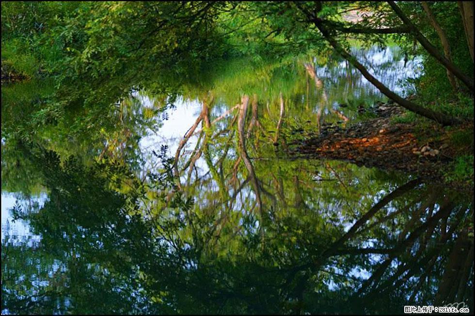 【春天,广西桂林灌阳县向您发出邀请!】熊家寨湿地公园 - 游山玩水 - 巢湖生活社区 - 巢湖28生活网 ch.28life.com