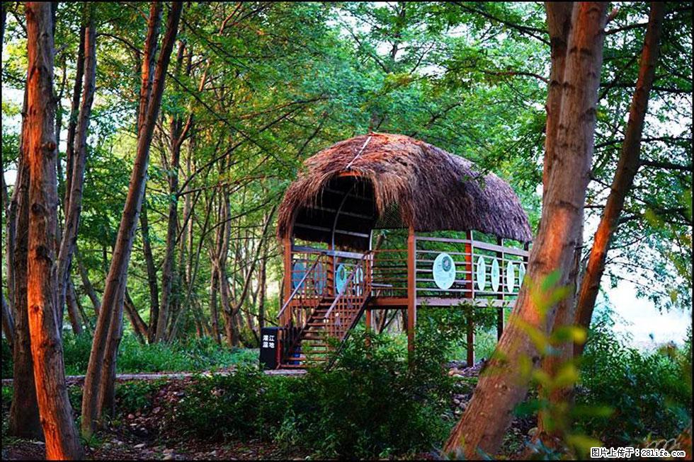 【春天,广西桂林灌阳县向您发出邀请!】熊家寨湿地公园 - 游山玩水 - 巢湖生活社区 - 巢湖28生活网 ch.28life.com