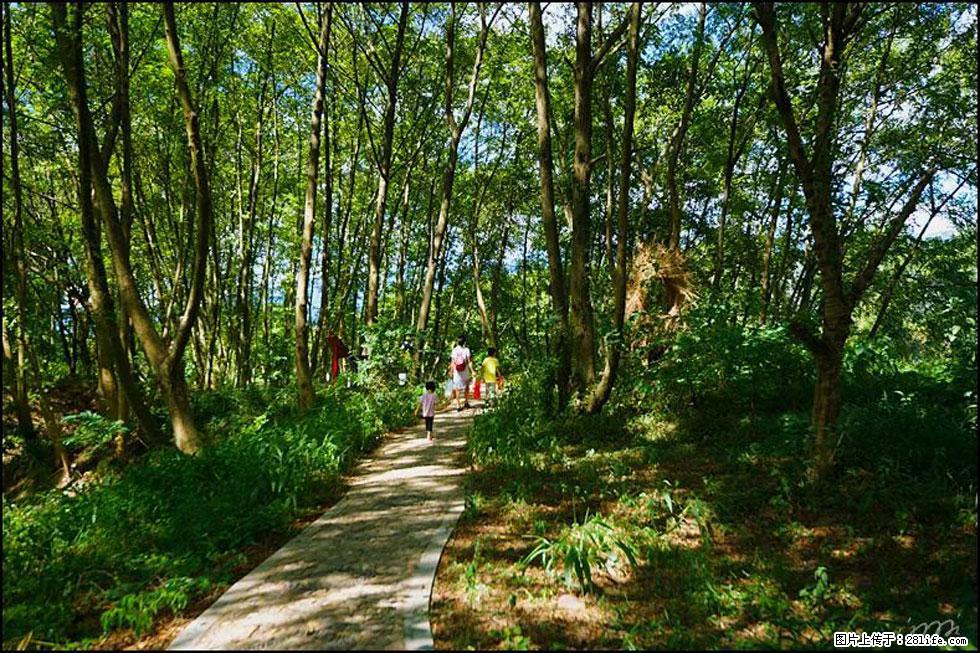 【春天,广西桂林灌阳县向您发出邀请!】熊家寨湿地公园 - 游山玩水 - 巢湖生活社区 - 巢湖28生活网 ch.28life.com