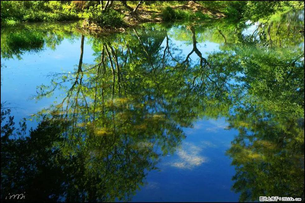 【春天,广西桂林灌阳县向您发出邀请!】熊家寨湿地公园 - 游山玩水 - 巢湖生活社区 - 巢湖28生活网 ch.28life.com