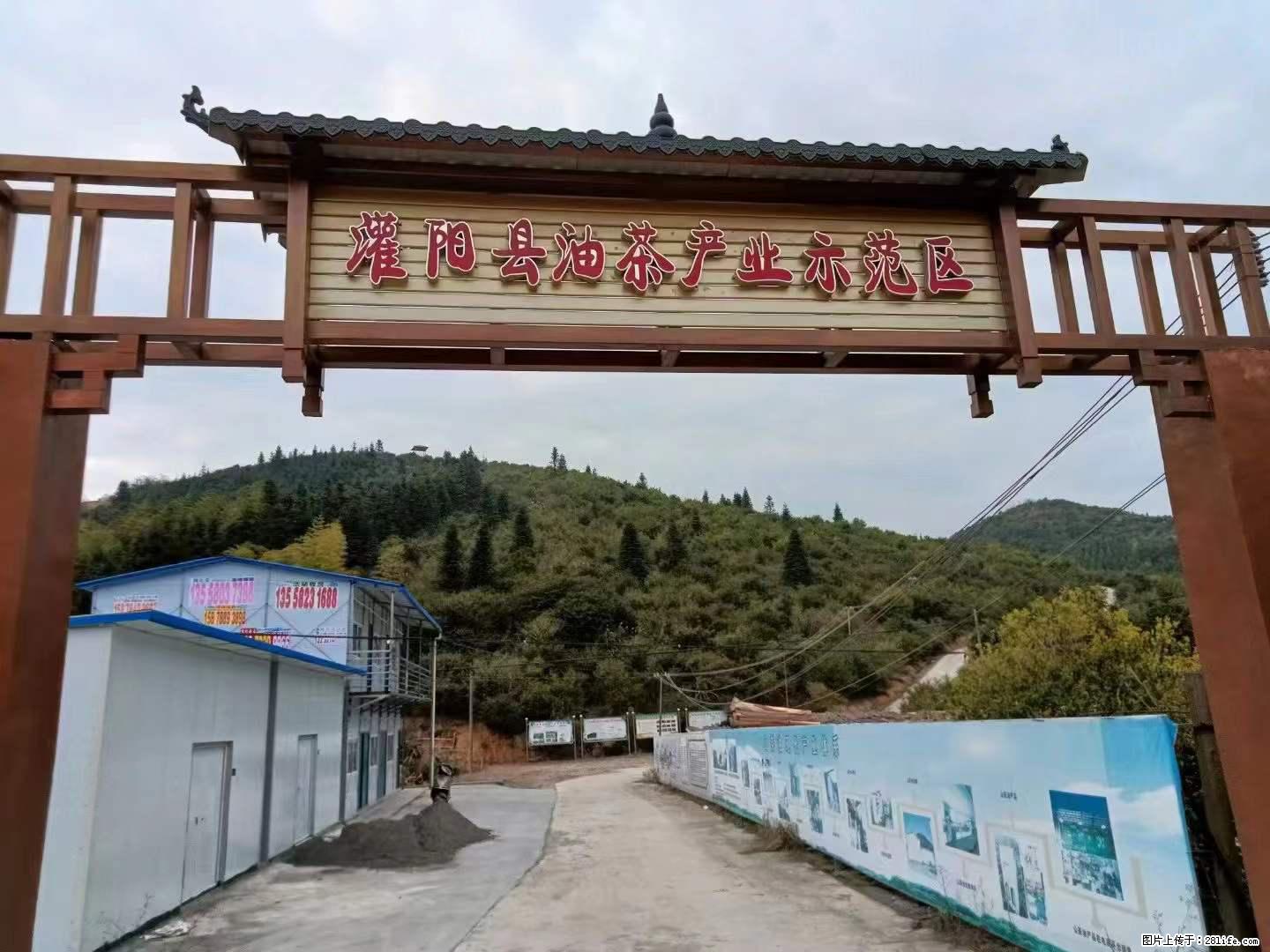 【灌阳县油茶产业示范区】一个有着充实的精神生活的人,对待身外之物自会有一种淡泊的态度 - 土特产 - 饮食特产 - 巢湖分类信息 - 巢湖28生活网 ch.28life.com