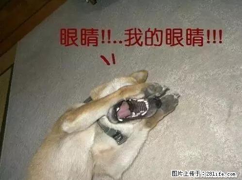 笑癫了!一女的怀孕三年未生,他终于忍不住了... - 娱乐八卦 - 巢湖生活社区 - 巢湖28生活网 ch.28life.com