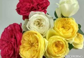 居巢银屏雅苑 2室2厅99平米 毛空调电热水器 - 巢湖28生活网 ch.28life.com