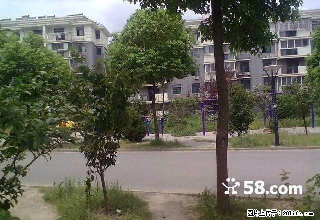 银湖山庄，中装修，拎包入住 - 房屋出租 - 房屋租售 - 巢湖分类信息 - 巢湖28生活网 ch.28life.com