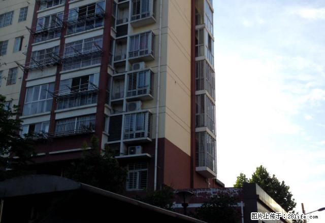 城市之光，临小学中学。 - 房屋出租 - 房屋租售 - 巢湖分类信息 - 巢湖28生活网 ch.28life.com