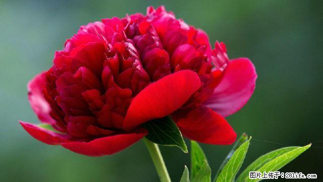 铺地板革空调燃气热水器冰箱洗衣机床桌衣柜等 - 房屋出租 - 房屋租售 - 巢湖分类信息 - 巢湖28生活网 ch.28life.com