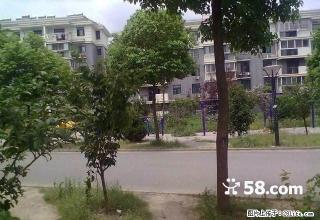 银湖山庄，中装修，拎包入住 - 巢湖28生活网 ch.28life.com