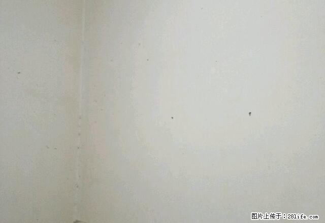 西门菜市金巢花园 1室0厅1卫 - 房屋出租 - 房屋租售 - 巢湖分类信息 - 巢湖28生活网 ch.28life.com