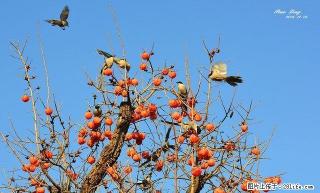 居巢南门大转盘 1室0厅25平米 简单装修 押一付三 - 巢湖28生活网 ch.28life.com