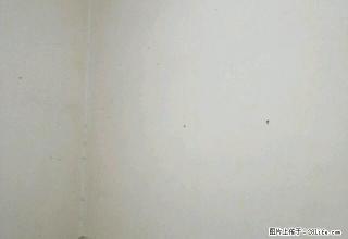 西门菜市金巢花园 1室0厅1卫 - 巢湖28生活网 ch.28life.com