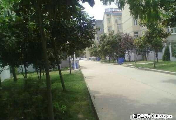 七中对面，汇豪天下复式楼急租 - 房屋出租 - 房屋租售 - 巢湖分类信息 - 巢湖28生活网 ch.28life.com