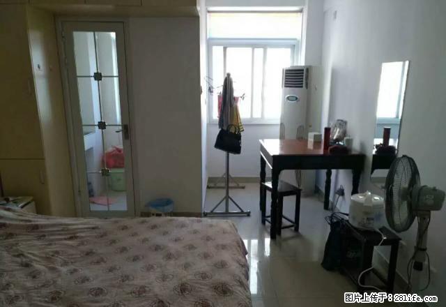 东方新世界精装公寓1000元出租 - 房屋出租 - 房屋租售 - 巢湖分类信息 - 巢湖28生活网 ch.28life.com