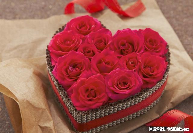 东方新世界精装好房子1100元出租 - 房屋出租 - 房屋租售 - 巢湖分类信息 - 巢湖28生活网 ch.28life.com