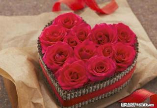 四海花园简装600元出租 - 巢湖28生活网 ch.28life.com