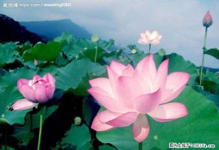 万锦国际精装好房子900元出租 - 巢湖28生活网 ch.28life.com