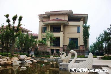 <168房产精品房源》半汤玫瑰园精装修三房一楼实施齐全出租 - 房屋出租 - 房屋租售 - 巢湖分类信息 - 巢湖28生活网 ch.28life.com