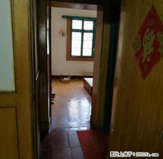 西苑小区精装3室1厅1卫房 - 巢湖28生活网 ch.28life.com