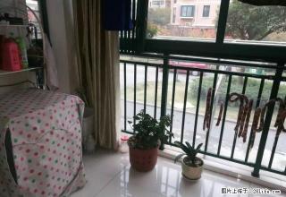 百合丽城 精品2居 家电齐全 拎包入住 - 巢湖28生活网 ch.28life.com