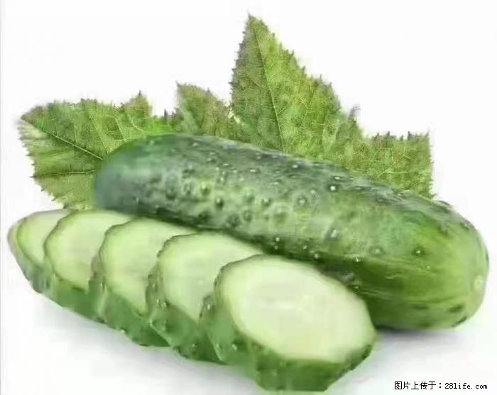 【生活小常识】吃黄瓜的好处 - 生活百科 - 巢湖生活社区 - 巢湖28生活网 ch.28life.com