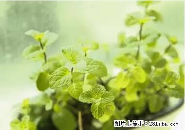 晕车、脚气、牙齿变黄、皮肤粗糙?学会这些三分钟搞定! - 巢湖生活资讯 - 巢湖28生活网 ch.28life.com