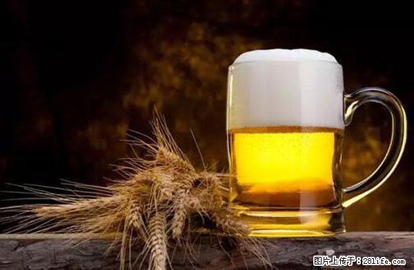 原来它这么毒，然而竟然满大街都是.... - 巢湖生活资讯 - 巢湖28生活网 ch.28life.com