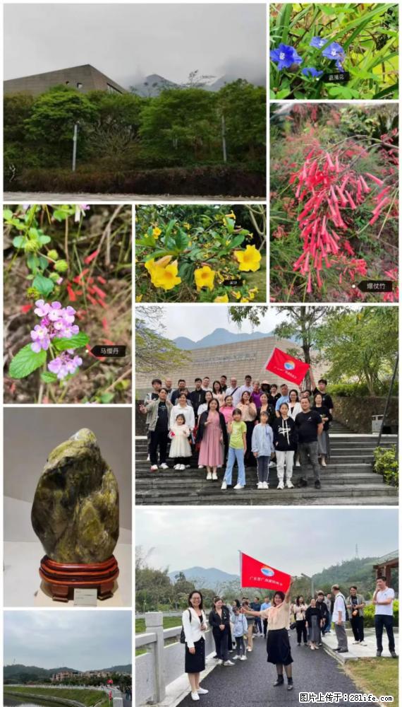 “粤灌文化 美好生活”油茶文化主题活动在广东深圳成功举办 - 巢湖生活资讯 - 巢湖28生活网 ch.28life.com